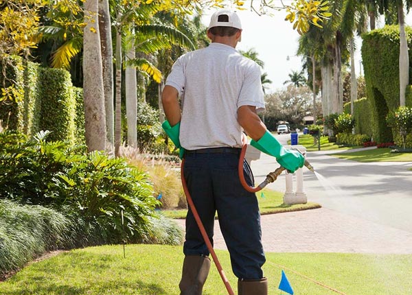About Roxbury KS Pest Control Pros